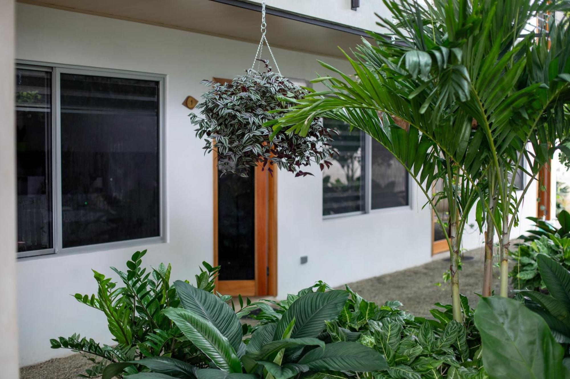 Nomad Living Cr Tarcoles Apartment Exterior photo